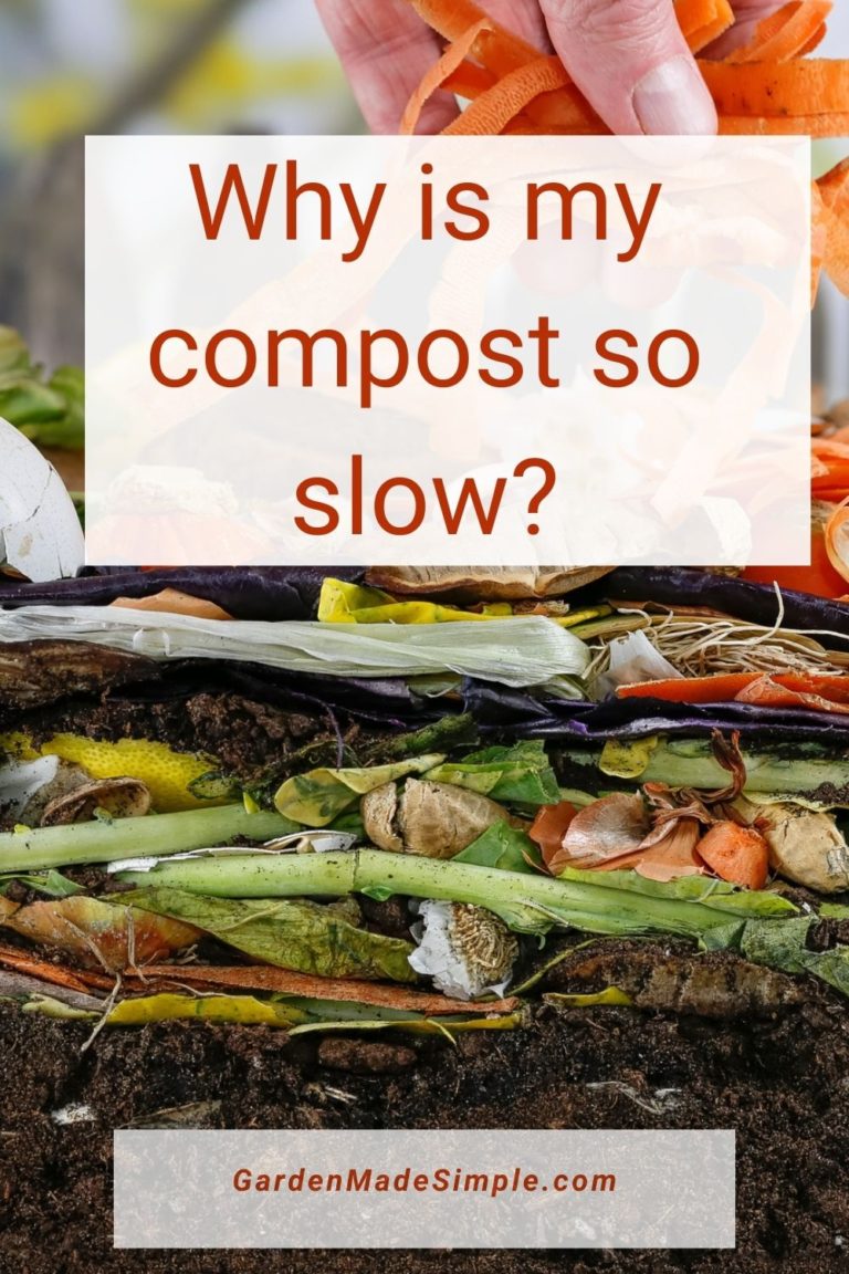 Why Is My Compost So Slow? Garden Made Simple