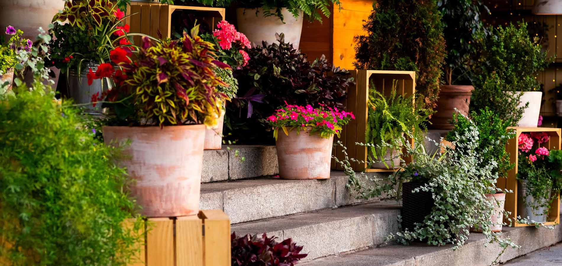 DIY Potting Mix For Container Gardening Garden Made Simple