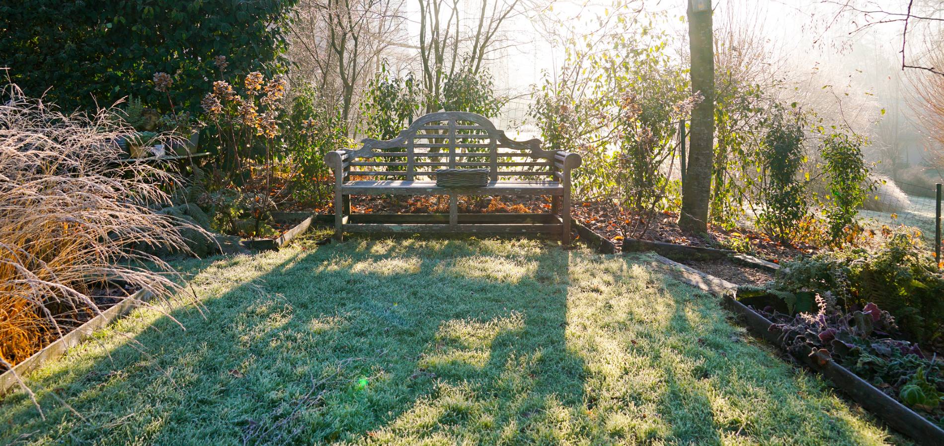 Do Perennials Need to be Protected from Frost? Garden Made Simple